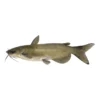 Catfish_1LB