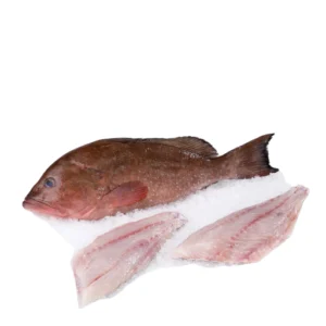 Grouper Fish_1LB